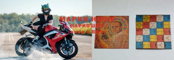 spice Зерноград