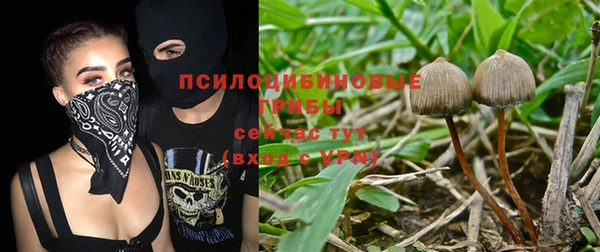 мдпв Зеленодольск