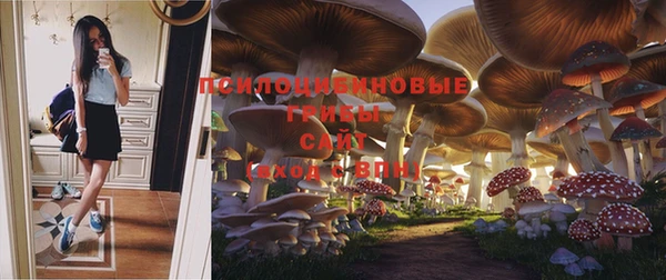 дмт Зеленокумск