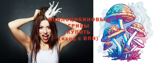 дмт Зеленокумск