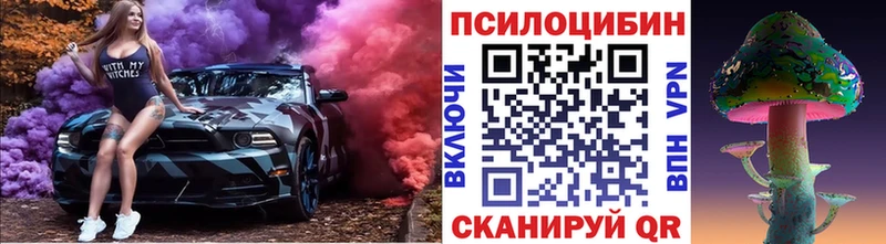 Купить где  Зима  Галлюциногенные грибы мицелий 