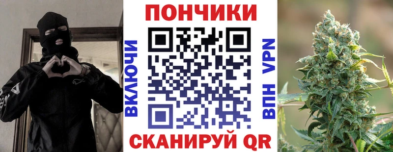 Купить где  Зима  Марихуана индика 